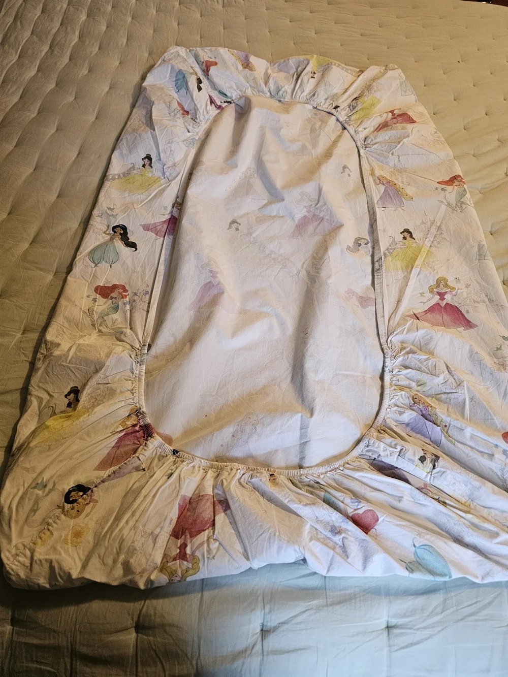 Pottery Barn Kids Disney Princess  Crib Sheet